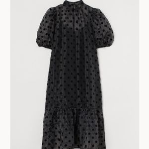 HM puff sleeves Organza dress